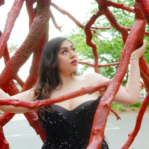 A young woman in an elegant black dress poses among vibrant red branches, expressing a sense of wonder and intrigue in an outdoor setting. The striking contrast between her attire and the branches creates a visually captivating scene.